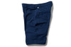TRANSVERSE regular short