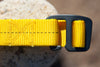 swrve Belt