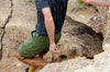 TRANSVERSE rambler belted shorts